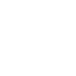 Ghost Agent